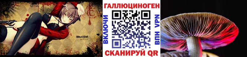 где продают наркотики  Вышний Волочёк  blacksprut   Псилоцибиновые грибы ЛСД 