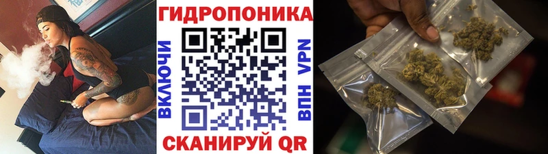 Конопля семена  Вышний Волочёк 